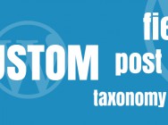 WP - Custom field, post type, taxonomy